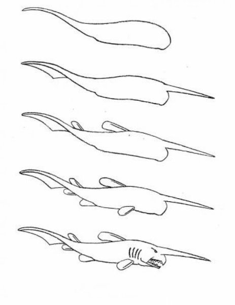 Акула пошаговое рисование