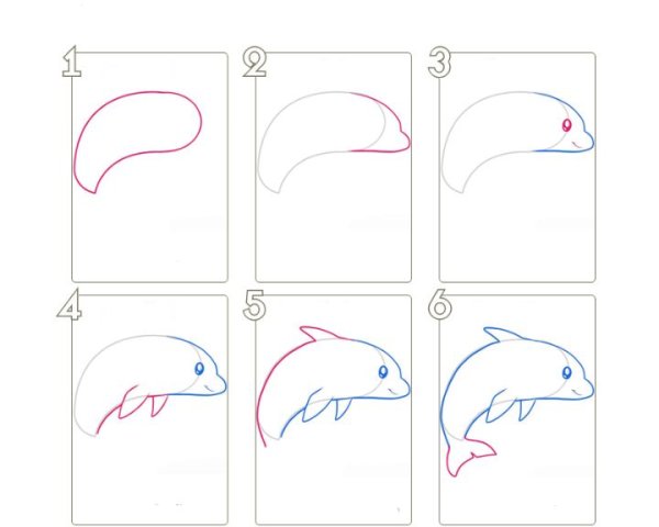 Рисуем дельфина поэтапно