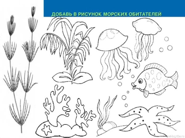 Рисование морских обитателей пошагово