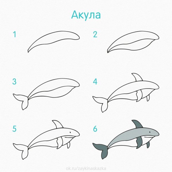 Рисуем морских обитателей поэтапно