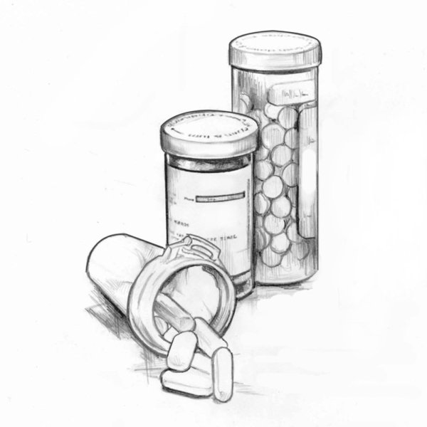 Поэтапное рисование насекомых