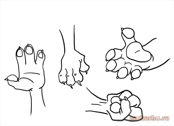 Рука сбоку рисунок
