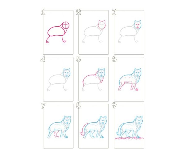 Поэтапный рисунок на 8 марта