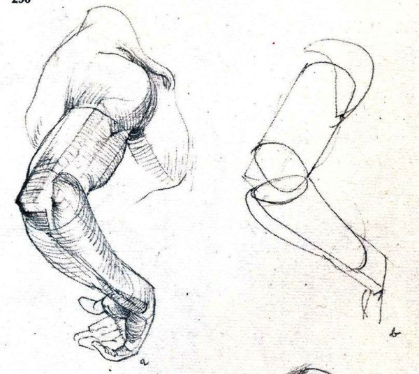 Готфрид Баммес кисти рук