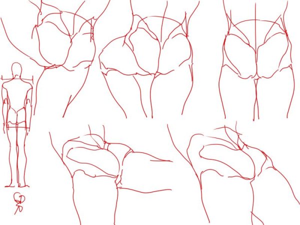 Референсы для рисования спины