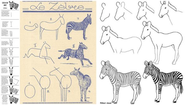 Поэтапное рисование зебры