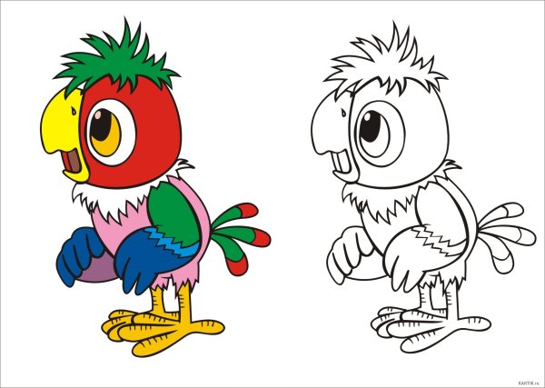 Рисунок попугая Кеши