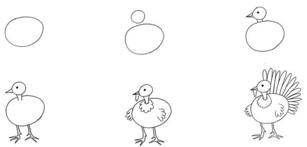 Пошаговое рисование Совы