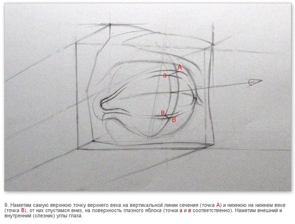 Обрубовка носа Давида