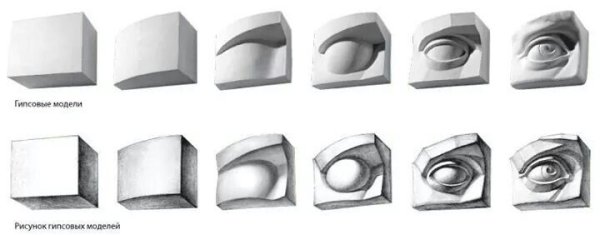 Глаз Давида Академический рисунок