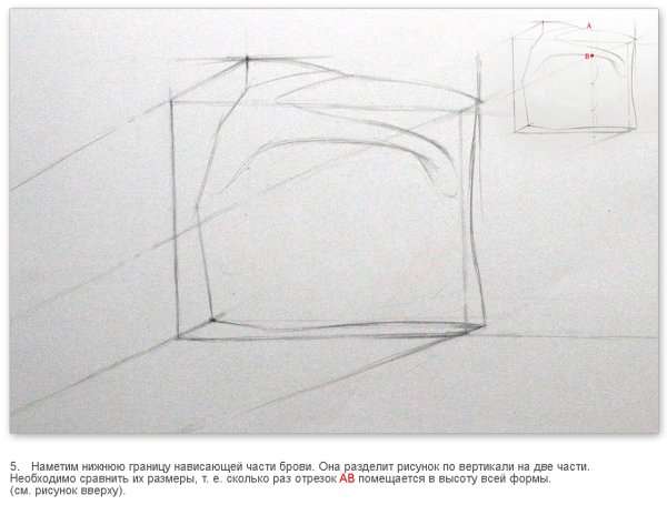 Антиной гипсовая голова построение