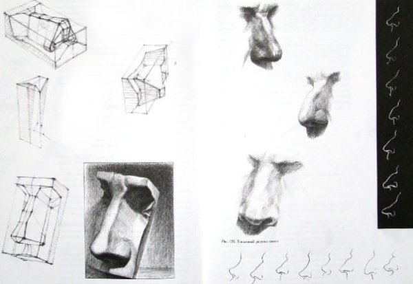 Части лица карандашом