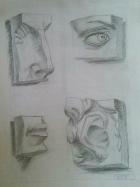 Обрубовка головы Давида