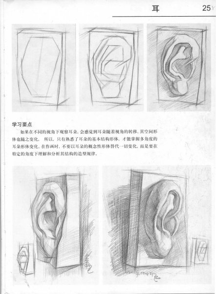 Зарисовки гипсовой головы