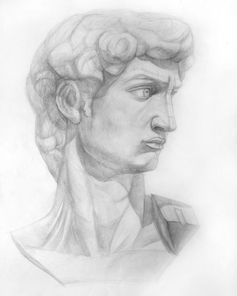 Нос Давида гипс построение