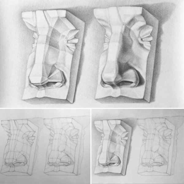 Нос Давида Академический