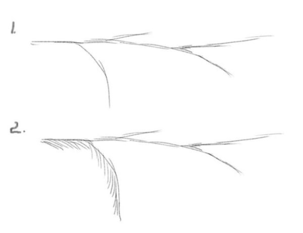 Этапы рисования автомобилей