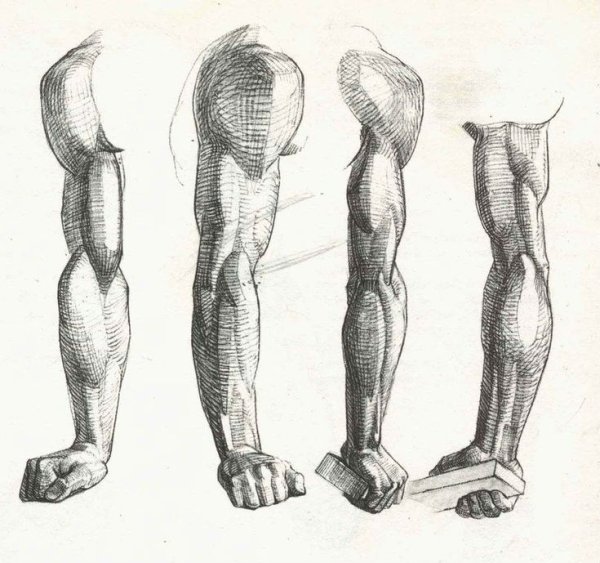 Готтфрид Баммес