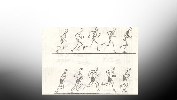 Бег человека схема