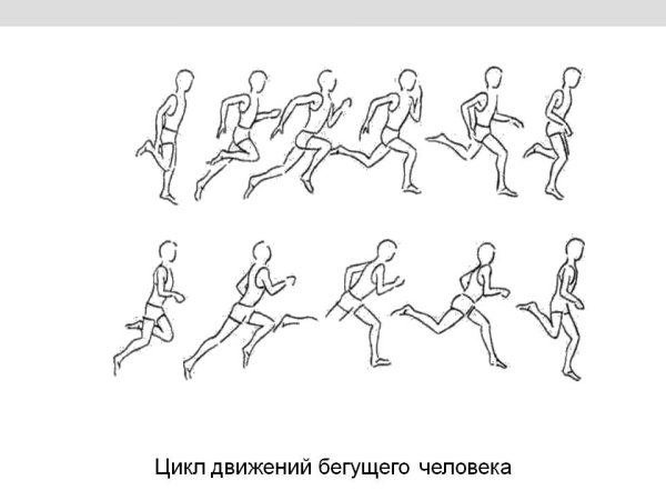 Фазы движения