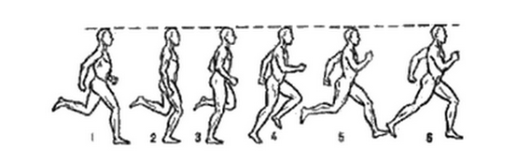 Схема бега человека