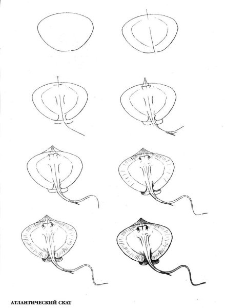 Схема рисования человека