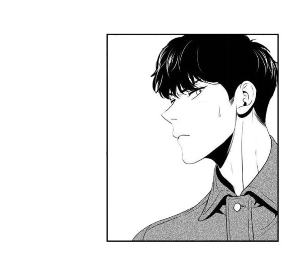 БЖ Алекс Дон Гюн