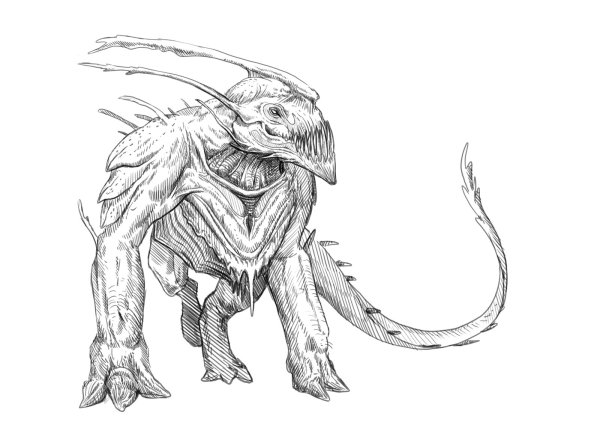 Сталкер псевдогигант арт