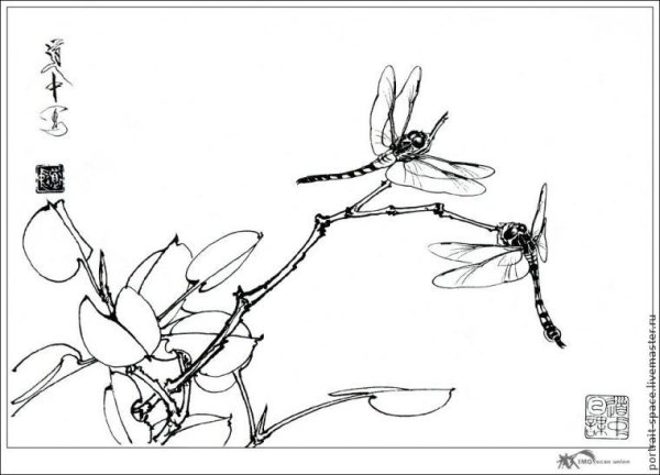 Китайские контурные рисунки