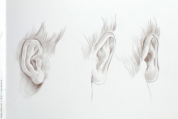 Уши БТС проколы схема