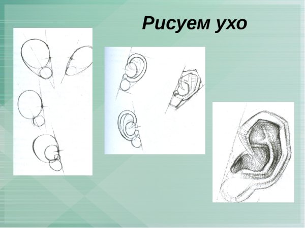 Рисование рыбы поэтапно