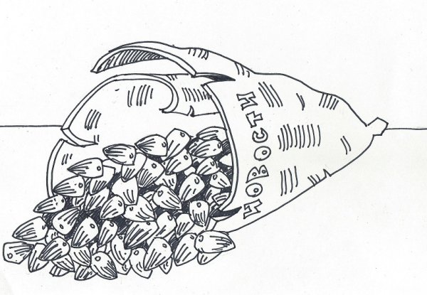 Семена раскраска для детей