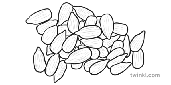 Семечка раскраска