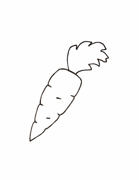 Морковь раскраска для детей