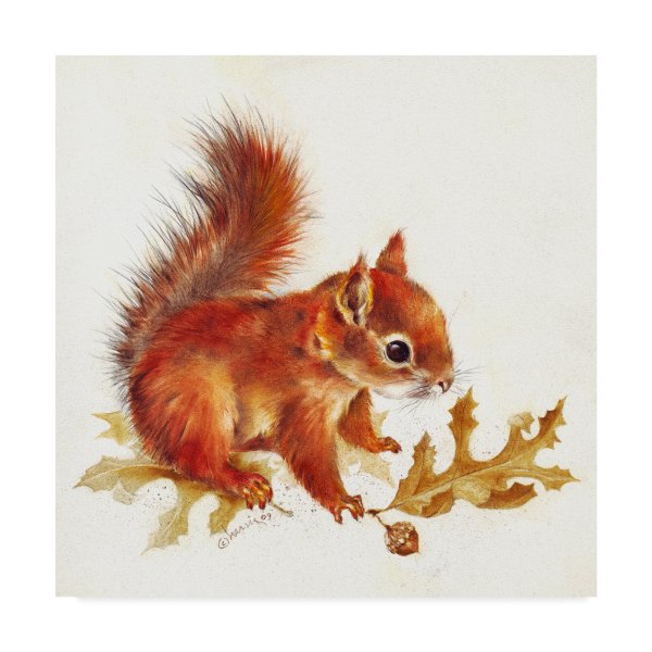 Бельчонок акварель