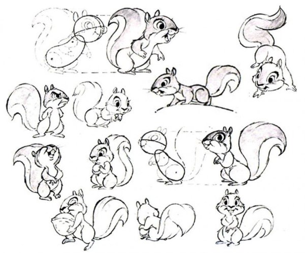 Рисунки белочки для срисовки