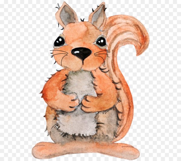 Белочка рисунок