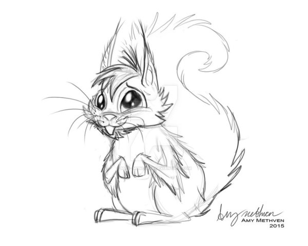 Рисунки белочки для срисовки