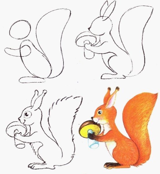 Поэтапное рисование белочки