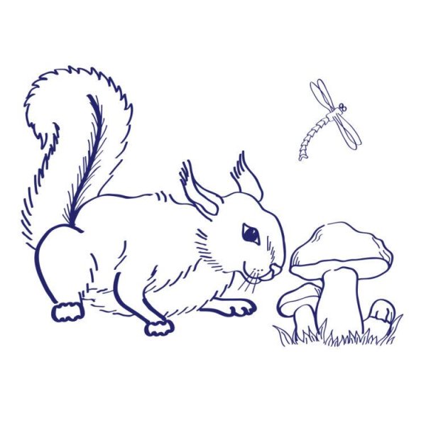 Раскраска Белочка