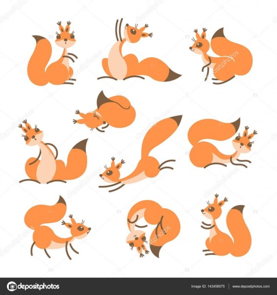 Силуэты белки в разных позах