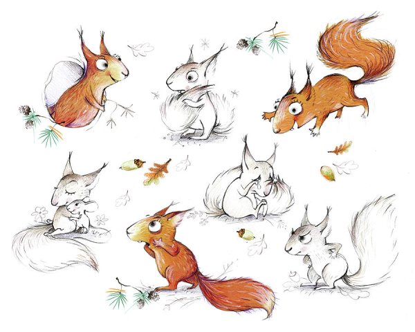 Смешные Рисованные белки