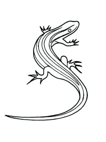 Тату ящерица эскизы