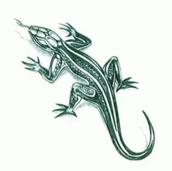 Тату ящерица эскизы