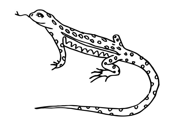 Ящерица для рисования