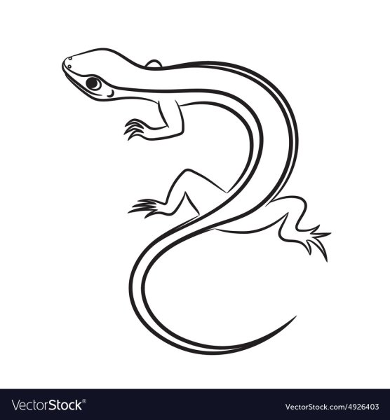 Ящерица раскраска для детей