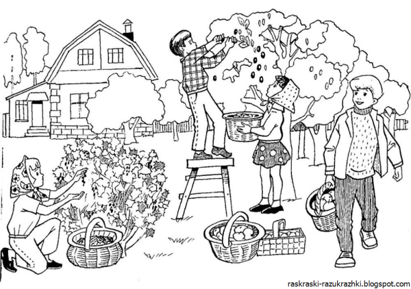 Огород раскраска для детей