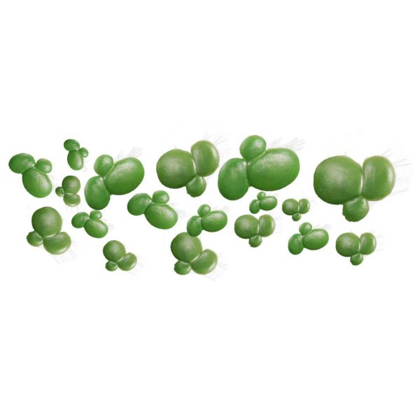 Ряска водоросль