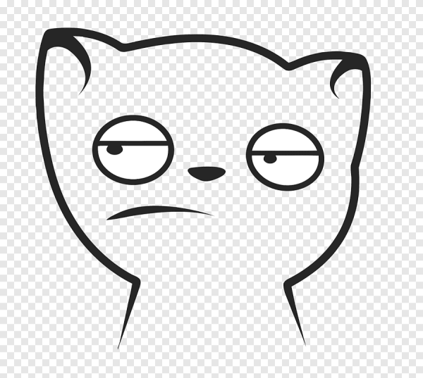 Мемы МАРМОКА кот