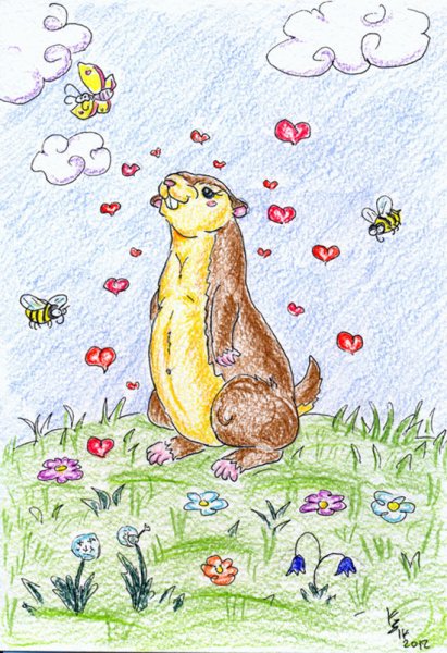 Нарисовать сурка